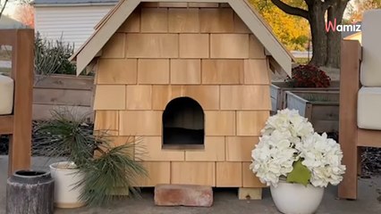 Dos arquitectos tienen una idea brillante para ayudar a un gato callejero durante el invierno