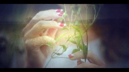 An Evening Song (for three voices) - Trailer