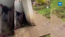 Sivas'ta kazan dairesinde mahsur kalan yaban keçisi kurtarıldı