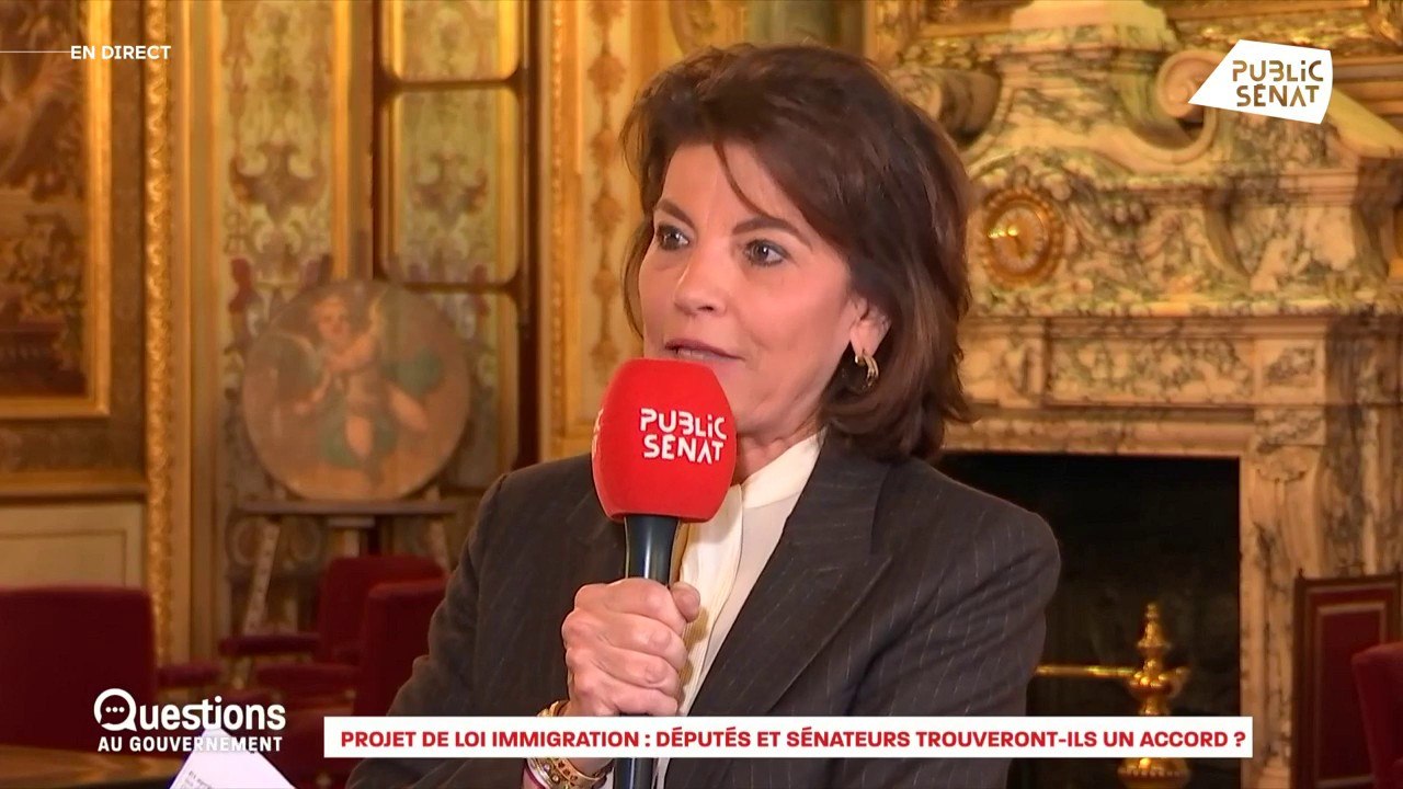 Loi immigration : « Nous voulons un texte qui soit le plus proche possible de celui du Sénat »