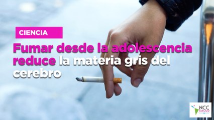 Fumar desde la adolescencia reduce la materia gris del cerebro