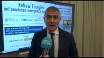 Energia, Pecoraro: italiani a favore di solare e eolico