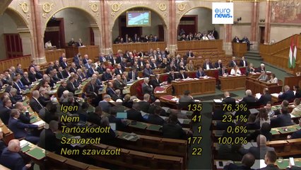 Закон о защите от иностранного вмешательства: создание мощного надзорного органа 🔍