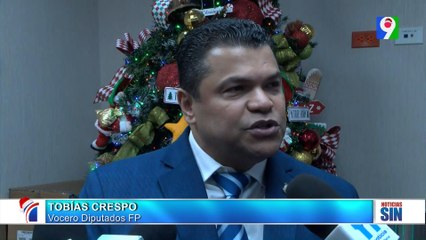 Opositores afirman “nuevos jueces del TC son “un club de amigos” | Primera Emisión SIN