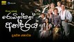 රොබින්සන් අන්දරය  AKA The Adventures of Swiss Family Robinson (1998) | Episode 10 Sinhala Dubbed [සිංහල හඩ කවන ලද]