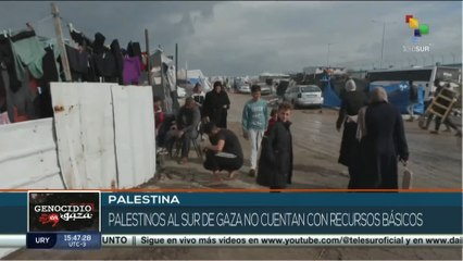 El pueblo palestino en Gaza vive sin los recursos básicos