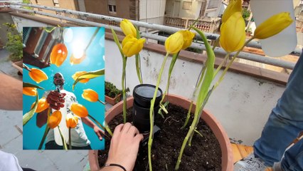 10 EASY PHOTOGRAPHY IDEAS at HOME ( quarantine )