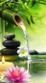 Relaxing Music Bamboo Water Fountain Meditation