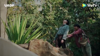 'Colorful Melody' - Tráiler oficial - 28MDP