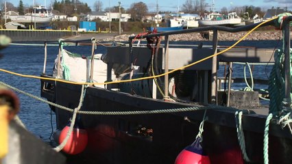 13 dec TOPO YB pecheur sebaste archivess