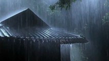 Overcome Stress to Sleep Instantly with Heavy Rain Paramount Thunder Sounds on a Tin Roof at Night