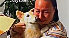 Respect animals A difficult feeling 