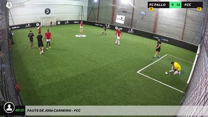 Faute de José CARNEIRO - FCC