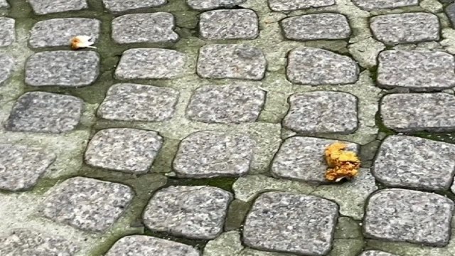 고층 아파트에서 치킨 투척...행인 다치게 한 초등학생 덜미 / YTN