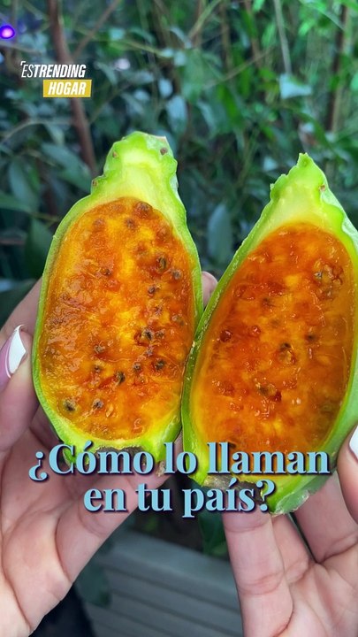 ¿Cómo se llama en tu país?