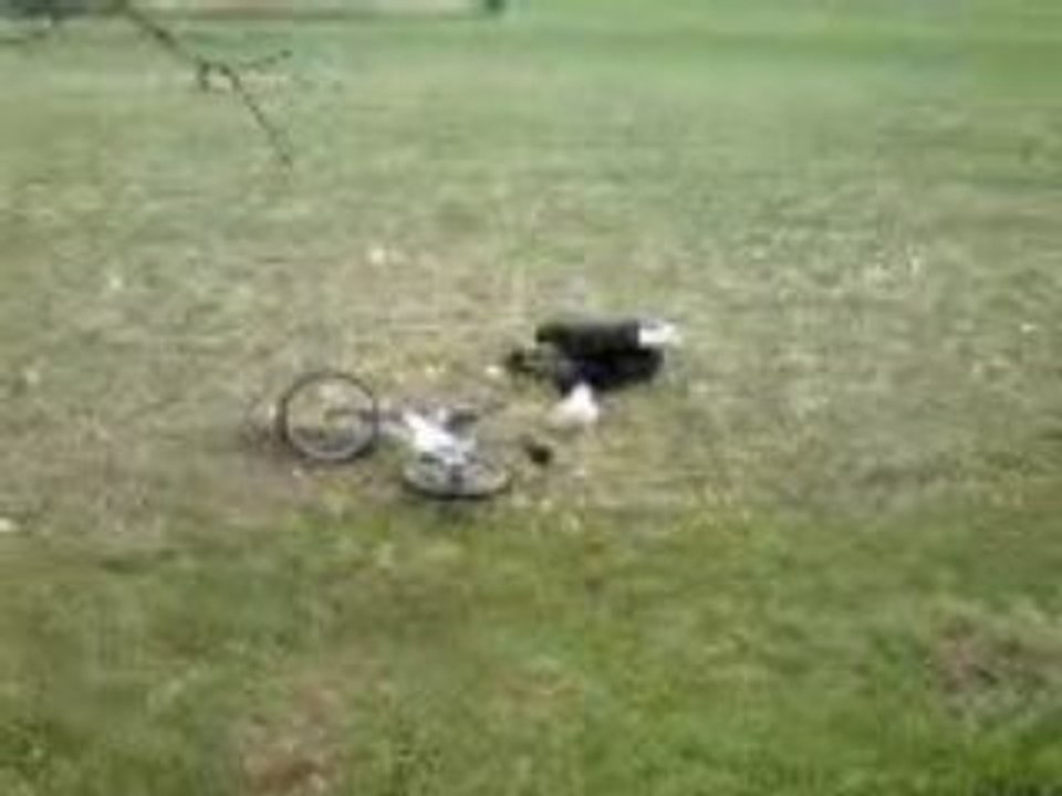 The First gamelle of DaBuels