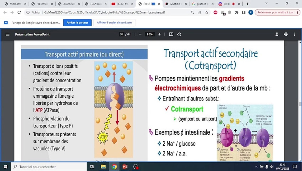 TRANSPORT MEMBRANAIRE