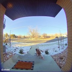 Icy Front Steps Lead To Fall