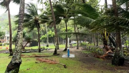 Rain and damaging winds affecting Far North Queensland