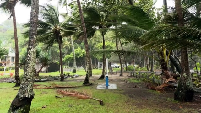 Rain and damaging winds affecting Far North Queensland