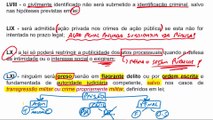 Aula 6.7 Direitos e Deveres Individuais e Coletivos Parte VII  - DIREITO CONSTITUCIONAL