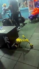 A special engagement at 24-hour 'Rowing for Riain' event