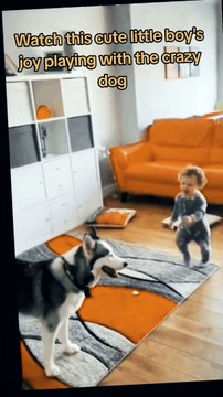 The joy of a child playing with the crazy dog/