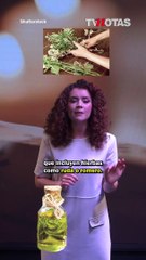 Empieza el 2024 con el pie derecho