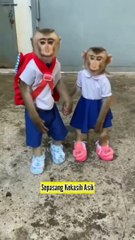 Orang Lari Dari Kenyataan, Kenyataan Itu Pahit Bagi Orang Lemah