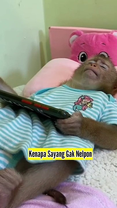 Suami Selingkuh Akibat Ditelpon Setiap Hari