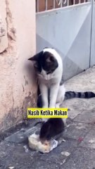 Makanan Diambil Teman Sendiri, Akhir Juragan Marah Kena Pukul