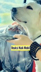 Orang Pada Rugu Sama Skill, Begini Cara Melihat Skill Luar Biasa