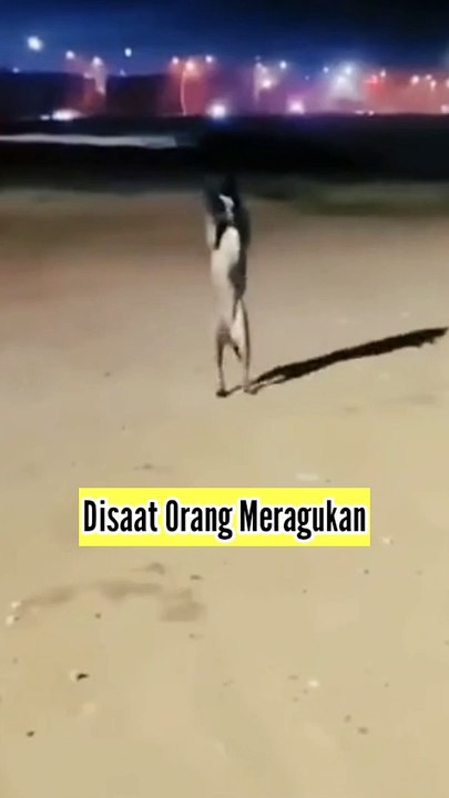 Reaksi Naik Mobil Kalau Orang Pemabuk Semua Pada Ketewa