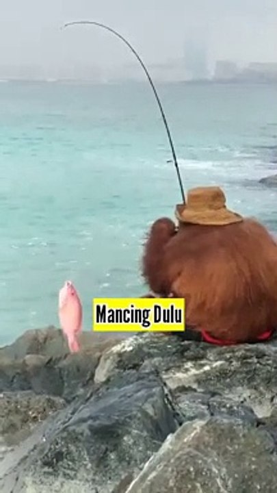 Mancing Ikan Dapat Janda Pirang Kaya Raya