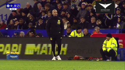 Leicester City vs Millwall Highlights Dec 13, 2023 England Championship