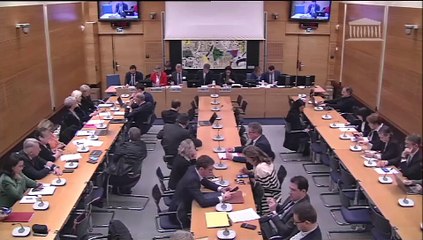 Commission des affaires culturelles : M. Philippe Jost, président de l’établissement public chargé de la conservation et de la restauration de la cathédrale Notre-Dame de Paris - Mercredi 13 décembre 2023