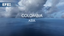 'Colombia Azul', el documental que muestra la riqueza de sus océanos y la necesidad de protegerlos
