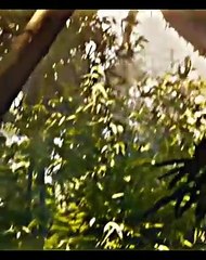 Hollywood movie best dangerous short scene  __ (_Bre_Petrunko_) __ #status #shorts #hollywoodmovie