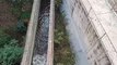 बीसलपुर बांध से सिंचाई के लिए नहरों में पानी किया बंद