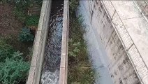 बीसलपुर बांध से सिंचाई के लिए नहरों में पानी किया बंद