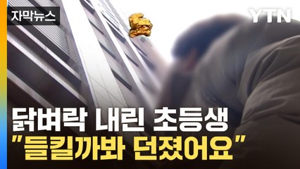 [자막뉴스] 닭벼락 내린 사람 잡고 보니..."부모님한테 들킬까봐 던졌어요"  / YTN