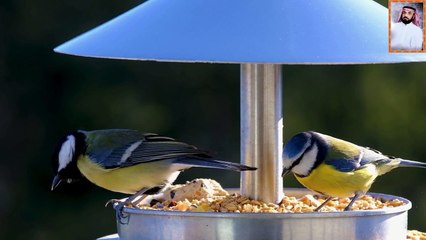 قرآن الكريم بصوت خاشع