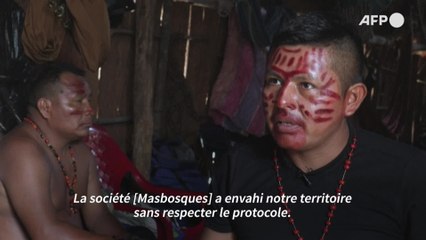 En Amazonie, la bataille d’une tribu colombienne contre le greenwashing