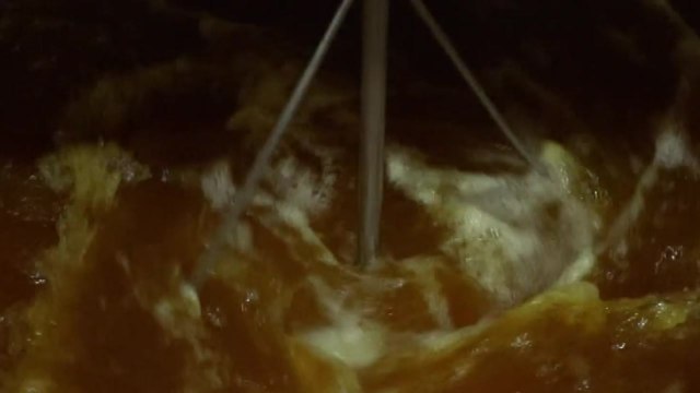 [녹색] '순환식 수경재배' 보급 늘린다... 환경 부담 감소 / YTN