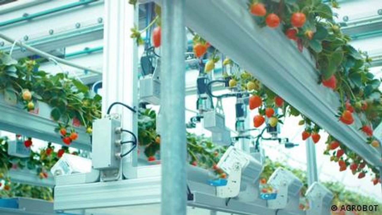 Digitale Landwirtschaft – Roboter im Ernteeinsatz