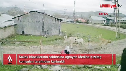 Komşularına gitmek için evden çıktı! 79 yaşındaki kadın dehşeti yaşadı