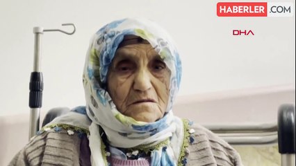 Muş'ta sokak köpeklerinin saldırısına uğrayan yaşlı kadın kurtarıldı