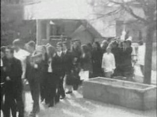 Parc a Festival - Ferme