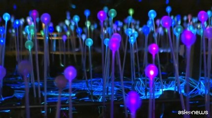 Un magico "Campo di luci" riempie il cuore di Manhattan