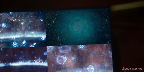 Yu Yu Hakusho S01E05